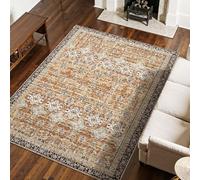 VEVOR Tapis Salon, 2,3 x 2,9 m, Grand Tapis Chambre Lavable Antidérapant, Poils Courts Denses, Résistant aux Griffures Animaux, Doux et Confortable, Style Vintage, pour Bureau, Entrée, Marron et Vert