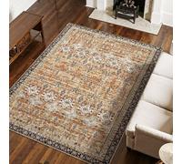 VEVOR Tapis Salon, 2,3 x 2,9 m, Grand Tapis Chambre Lavable Antidérapant, Poils Courts Denses, Résistant aux Griffures Animaux, Doux et Confortable, Style Vintage, pour Bureau, Entrée, Marron et Vert