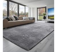 VEVOR Tapis Salon Chambre Poil Long 2,44 x 3,05 m Tapis Moderne de Décoration Intérieur Rectangulaire Antidérapant en Peluche Moelleux Doux Envers Non Tissé pour Salon, Chambre à Coucher, Gris Fumé