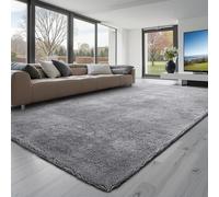 VEVOR Tapis Salon Chambre Poil Long 2,44 x 3,05 m Tapis Moderne de Décoration Intérieur Rectangulaire Antidérapant en Peluche Moelleux Doux Envers Non Tissé pour Salon, Chambre à Coucher, Gris Fumé