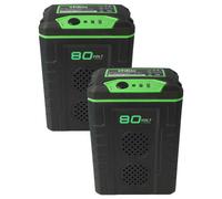 vhbw 2x Batterie compatible avec Stiga Combi 43 AE, Combi 48 AE, Combi 43 S AE, Multiclip 47 S AE, Combi 50 S AE (2000mAh, 80V, Li-ion)
