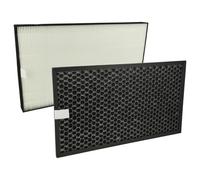 vhbw 2x Filtre compatible avec Sharp KC-D40EUW, KC-F32, KC-D50EUW, KC-D40EUB purificateur d'air - filtre à charbon actif, filtre HEPA