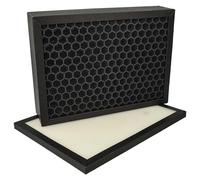 vhbw 2x Filtre compatible avec Stadler Form Viktor purificateur d'air