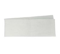 vhbw 2x Filtres à air G4 remplacement pour Wolf 1668493 pour ventilateur (2x filtre mousse)