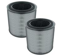 vhbw 2x Filtres H13 remplacement pour Philips FY0910/30, 688001002047 | pour purificateur d'air - Filtre de rechange
