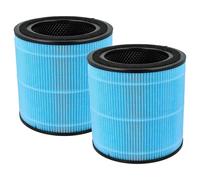vhbw 2x Filtres HEPA H13 compatible avec Airtok AP0601 purificateur d'air - Filtre de rechange avec charbon actif intégré