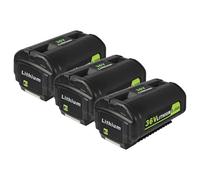 vhbw 3x Batteries Li-Ion 5000 mAh (36 V) pour outillage électrique, remplacement pour Ryobi 5133002166, BPL3626, BPL3626D, BPL3640, BPL3640D, BPL3650D
