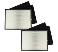 vhbw 6x Filtre compatible avec Rowenta Intense Pure Air PU2120 purificateur d'air - filtre à charbon actif, filtre HEPA