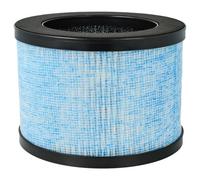 vhbw Filtre H13 compatible avec Intelabe EP1080, EPI080 purificateur d'air - Filtre de rechange avec charbon actif intégré