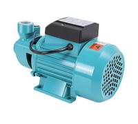ViaGasaFamido Pompe de Transfert D'Eau Auto-amorçante 0,75, Durable pour L' et L'approvisionnement en Eau de Chaudière, 50L/min
