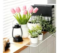 Vibeo Rallonge pour Rebord de Fenêtre Rallonge de Rebord de Fenêtre en Acrylique Transparent pour Plantes, Étagère D'extension de Fenêtre Longue, Plaque D'extension de Comptoir(55x15 cm (22x6 in))