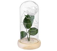 VICASKY Rose Éternelle Blanche sous Cloche en Verre Lumière LED Décorative sur Socle en Bois pour Bureau ou Club Ambiance Romantique