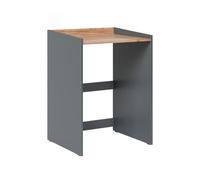 Vicco Armoire Machine à Laver Viktor, Anthracite/Chêne doré, 67.8x94.6cm | avec bord