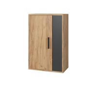 Vicco Armoire Suspendue Berno, Chêne doré/Anthracite, 50.1x78.4cm | avec 2 compartiments, adapté au montage mural pour un rangement polyvalent