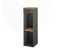 Vicco Casier à vin "Repose", Chêne doré/anthracite, 30x106cm | convient au rangement des bouteilles de vin et des livres