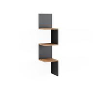 Vicco Étagère d'angle Paolo, Anthracite, 28x116.4cm | pouvant être monté pour le rangement de livres et d’objets de décoration