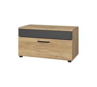 Vicco Meuble de Salon Berno, Chêne doré/Anthracite, 70.8x38.9cm | avec porte rabattable, convient pour le rangement de livres et de classeurs
