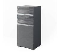 Vicco Meuble Salle de Bain Fredd, Anthracite Haute Brillance, 36.4x79cm