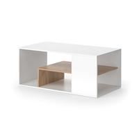 Vicco Table Basse Edgar, Chêne Blanc/Force de l'or, 110x59cm, avec Espace de Rangement supplémentaire sous Le Plateau de Table