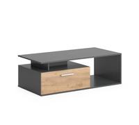 Vicco Table Basse Roland, Anthracite/chêne doré, 118x59cm, avec Surface de Rangement pour Le Stockage de Magazines