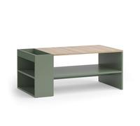 Vicco Table basse "Wido", Vert, 100x55cm | avec des étagères, convient pour le rangement des magazines et des télécommandes