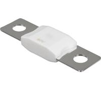 Victron Céramique Fusible MEGA 40A/80V - 5 pièces | CIP138040020