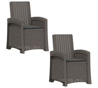 vidaXL Fauteuils de jardin imitation rotin, lot de 2, gris clair et anthracite, PP
