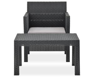vidaXL 2-tlg. Set de salon de jardin avec Auflage PP Rotin Anthrazit
