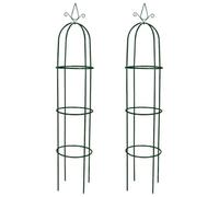 vidaXL Arche de jardin en forme de tour Lot de 2