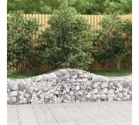 vidaXL Gabions arqués - Fer galvanisé