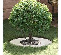 vidaXL adapté pour anneau d'arbre plat Blanc Ø30 / 60 cm Acier