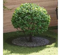 vidaXL adapté pour anneau d'arbre plat vert olive Ø90 / 120 cm acier