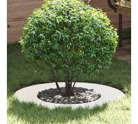 vidaXL adapté pour anneaux d'arbre plats 5 pcs Blanc Ø40 / 70 cm Acier