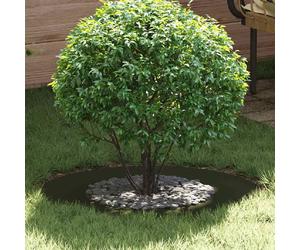 vidaXL Anneau d'arbre Vert olive Ø40 / 70 cm Acier laminé à froid