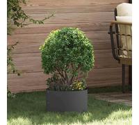 vidaXL Anneau pour plantes 5 pièces Noir 30 x 30 x 20 cm Acier laminé à froid