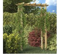 vidaXL Bois Imprégné Arche pour Roses Support Plantes Grimpantes Arceau Voute