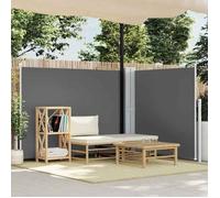 vidaXL Marquise latérale extensible Anthracite 140 x 600 cm