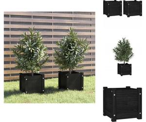 vidaXL Bac à plantes 2 pcs. noir 31x31x31 cm Pin massif - Pots de fleurs & Jardinières