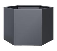 vidaXL Bac à plantes Anthracite Hexagonal 69x60x45 Acier