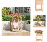 vidaXL Bac à plantes avec étagère 54x54x81 cm Pin massif - Pots de fleurs & Jardinières