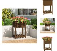 vidaXL Bac à plantes avec étagère brun miel 54x54x81 cm Pin massif - Pots de fleurs & Jardinières