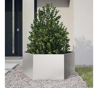 vidaXL Bac à plantes hexagonal 104x90x45 Acier inoxydable