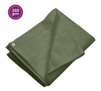 vidaXL Bâche 260 g/m² 4x6 m Vert