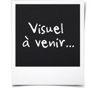 vidaXL Bâche 650 g/m² 1,5 x 6 m Blanc