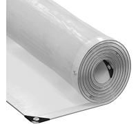 vidaXL Bâche de protection pour plantes, transparente, 10 x 12 m, PE