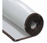 vidaXL Bâche transparente 1x10 m - Polyéthylène