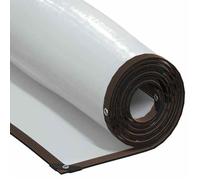vidaXL Bâche transparente avec œillets 4x10 m polyéthylène, bâche claire 4018566