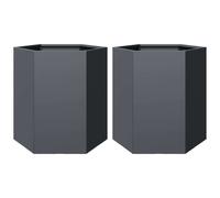 vidaXL Bacs à plantes de jardin 2 pièces anthracite hexagonal 46x40x45 acier