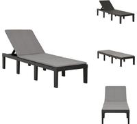 vidaXL Bain de soleil avec support plastique Anthracite - Bains de soleil