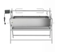 vidaXL Barbecue BBQ avec tournebroche Fer et acier inoxydable